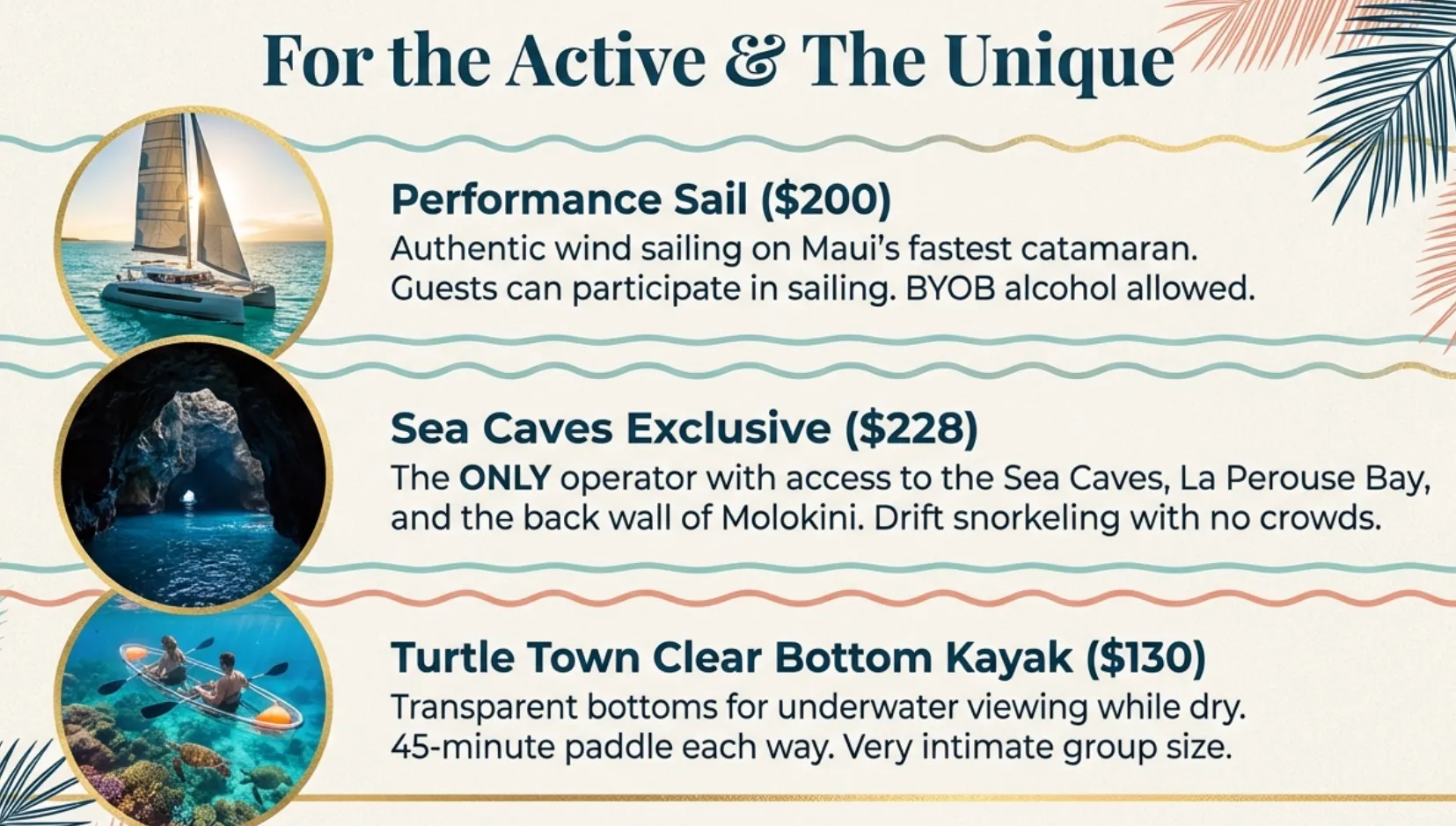 Premium Sail and Sea Caves Molokini Tours