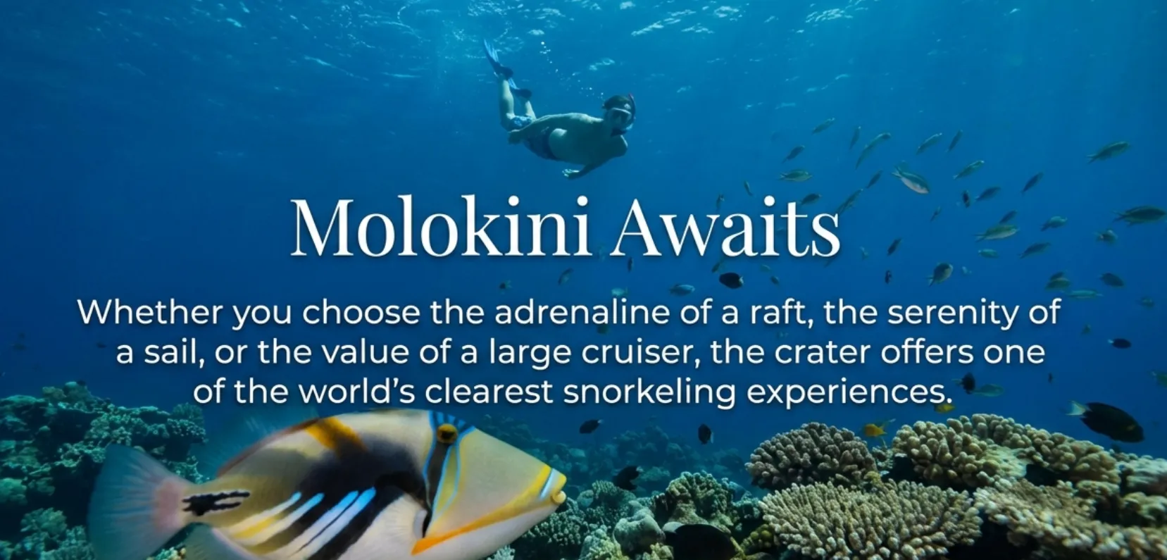 Snorkeling at Molokini Crater Maui